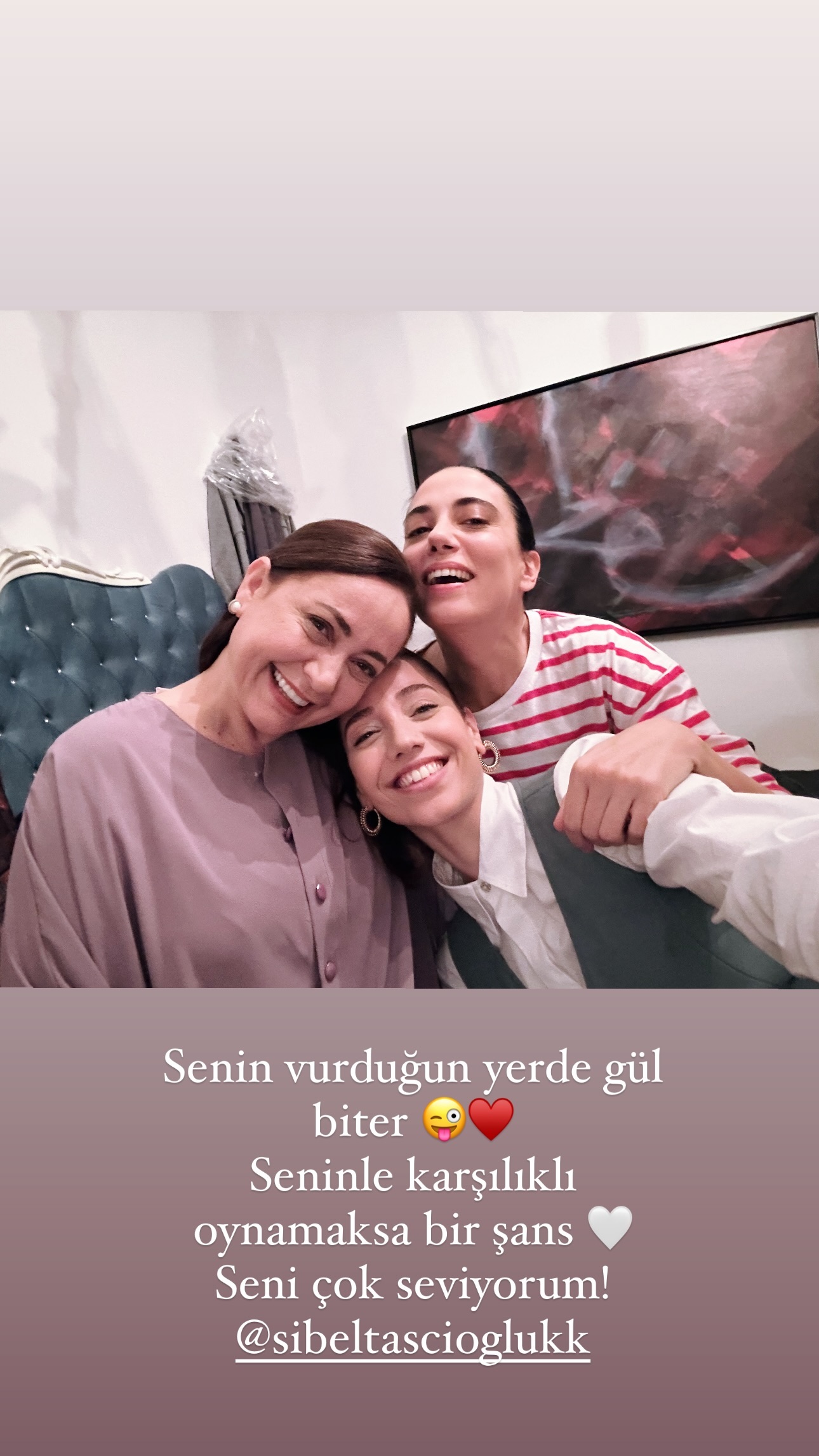 Kızılcık Şerbeti'nin Heyecanı Devam Ediyor